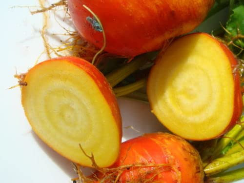 30 BURPEE'S GOLDEN BEET Beta Vulgaris Yellow Root Vegetable Seeds *Combined S/H
