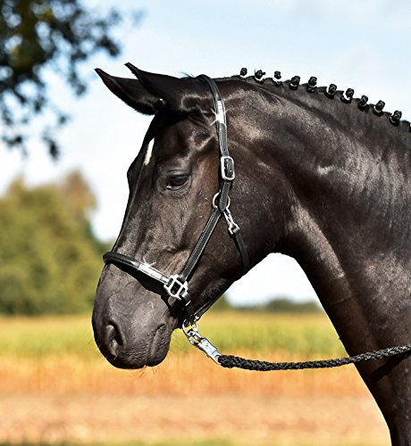 BUSSE Halfter BRILLIANCE Leder, schwarz/silber-Strass, Vollblut