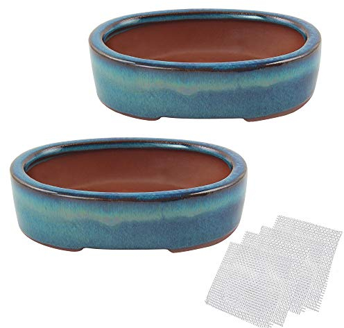 happy bonsai Juego de 2 macetas pequeñas esmaltadas de 5.9 pulgadas + 4 pantallas de drenaje de malla suave