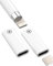 Adaptateur USB C Femelle vers Lightning Femelle (Lot De 2) pour Apple Pencil 1ère Génération pour IPad Chargeur Stylet Câble De Recharge Pen pour IPad 10eme