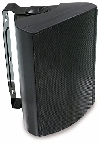 Visaton 50318 Lautsprecher WB 16, 100V+8 Ohm schwarz