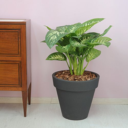 Koll Living Design Topf Pegasus 40 cm - anthrazit - ideal für Ihren Garten, Terrasse oder Balkon