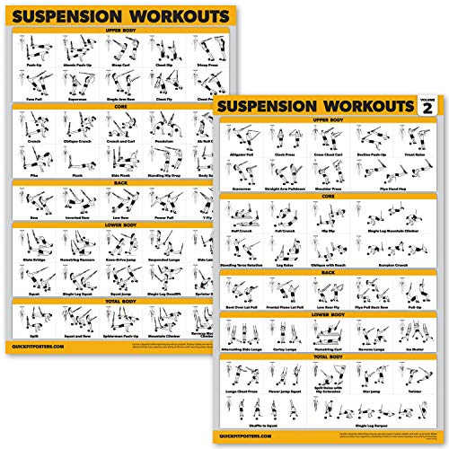 Palace Learning 2 Pack Suspension Workout Posters - Volume 1 & 2 - LAMINATED Exercise Charts - 18 x 24 Vol. 1 & 2