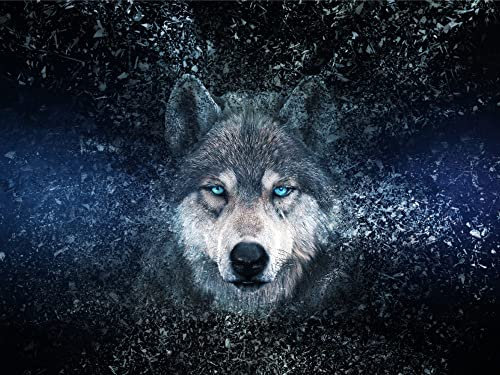 VVBAOZI BRICOLAGE Diamant Painting Loup Perle Ronde Diamond Painting Animaux De La Jungle peinture diamant 5d complet loup pour Adultes Enfants (La taille de la toile: 40×30cm)