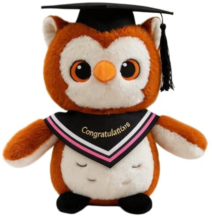 Generisch Abschluss, Adventskalender Inhalt, Bachelor 2026, Abi 2026 Glücksbringer Prüfung Geschenk, Schultüte, Pocket Hug Eule, Bachelor Master Abitur, Positive Kartoffel Deutsch, Prüfung Bestanden
