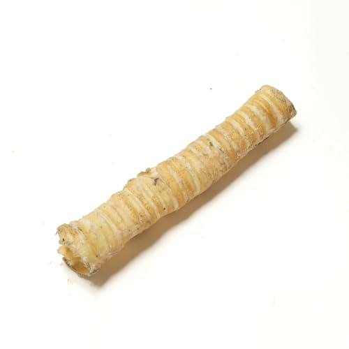 Natural Treats 1kg Long Beef Trachea for Dogs Highly Digestible High Protein Healthy Dehydrated Dog Chew Treats (Mixed 15-40cm)