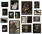 ANERZA 16 Stück Dark Academia Raumdekoration, gotische Heimdekoration, stimmungsvolle Wandkunstdrucke für Schlafzimmer, Hexen-Poster für Zimmer, ästhetisch, Wandcollage-Set, Bilder für Wohnzimmer,
