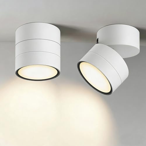 GX53 Ceiling Lights,90° Swivel Ceiling Spotlights 2 Pack,IP65 Waterproof Aluminium Surface-Mounted Downlights for Ceiling,Suitable for Living Room,Bedroom,Bathroom,Hallway,Balcony,White