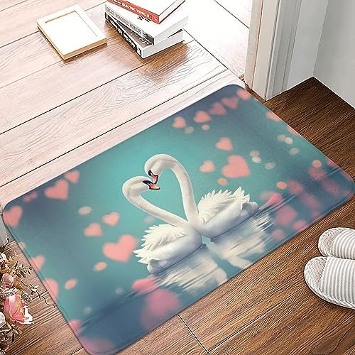 STejar The Swan in Love, rutschfeste Gummi-Rückseite, saugfähig und schmutzabweisend, Fußmatte, Eingangstür, Innenfußmatte, 40 x 60 cm