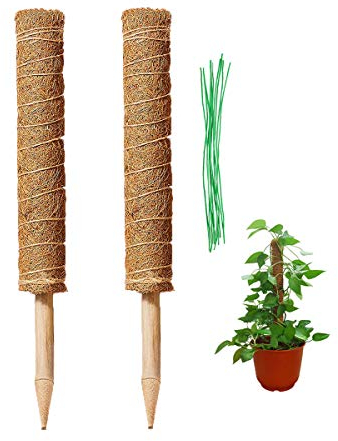 2 Stück 43 cm Kokosstab Moosstab Rankhilfe Pflanzstab mit 10 Pflanzenbinder für Zimmerpflanzen, Pflanzstab Kokos Rankstab Rankhilfe Blumenstab