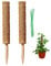 2 Stück 43 cm Kokosstab Moosstab Rankhilfe Pflanzstab mit 10 Pflanzenbinder für Zimmerpflanzen, Pflanzstab Kokos Rankstab Rankhilfe Blumenstab