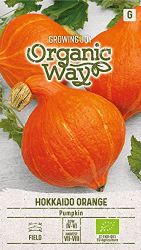 Organic Way | KÜRBIS HOKKAIDO ORANGE samen | Kürbissesamen | Gemüsesamen | Garten Samen | Eine frühe Sorte, kleine Früchte | 1 Pack