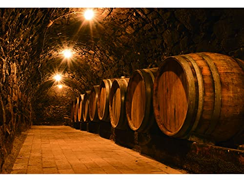 Aoihrraan 3x2m Toile de Fond de Cave à Vin Vintage Sombre Cave Cave en Bois Lumières de Tonneau en Bois Oktoberfest Photographie Fond Fête de la Bière Carnaval Enfants Adulte Portrait Photo Prop