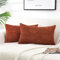 FDTERN 2er Set Rostrot Kordsamt Kissenbezug 30x50CM Weich Moderne Dekorative Kissenbezüge Kissenhülle Dekokissenbezug Sofakissen Dekokissen Boho Herbst Deko für Sofa Schlafzimmer Wohnzimmer Balkon