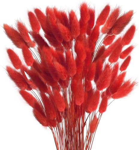 Minnhua 120pcs Trockenblumen Rot Pampasgras Getrocknet Blumen Natürliche | Schlifgras Getrocknet Pampasgras Deko Dekoblumen Rot Blumenstrauß Flauschig für Wohnzimmer Hochzeit Tischdeko Vase Deko Rot