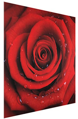 Bilderwelten Glasbild Rote Rose mit Wassertropfen 1:1 Blumenbild Glas, 50cm x 50cm