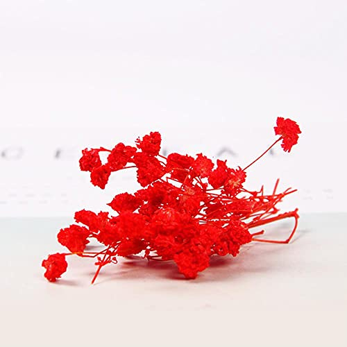 DIY Machen duftendes Wachs Stück Aromatherapie Dekoration Kerze Herstellung liefert Tee 3D Blume stirbt Weihnachten Blume-sternenklare Big Red 1g