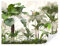 Tapeko Papier Peint Jungle 360x250 cm style 3D Jungle Tropiques Palmiers Feuillage Arbres Nature Papier Peint intissé pour Chambre Salon Personnalisé Décoration Murale u51936