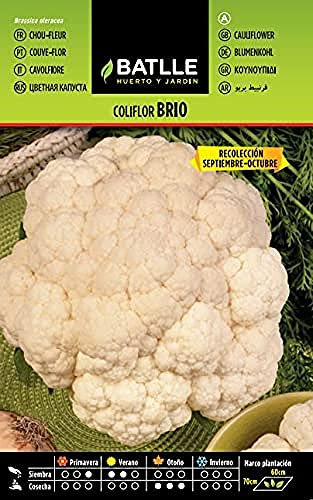 Semillas Batlle Coliflor Brio Sel.URGELBA (Sep-Oct)