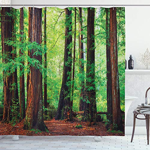 ABAKUHAUS Wald Duschvorhang, Tropischer Wald Redwood, Wasser Blickdicht inkl.12 Ringe Langhaltig Bakterie und Schimmel Resistent, 175 x 200 cm, Redwood Grün