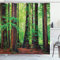 ABAKUHAUS Wald Duschvorhang, Tropischer Wald Redwood, Wasser Blickdicht inkl.12 Ringe Langhaltig Bakterie und Schimmel Resistent, 175 x 200 cm, Redwood Grün
