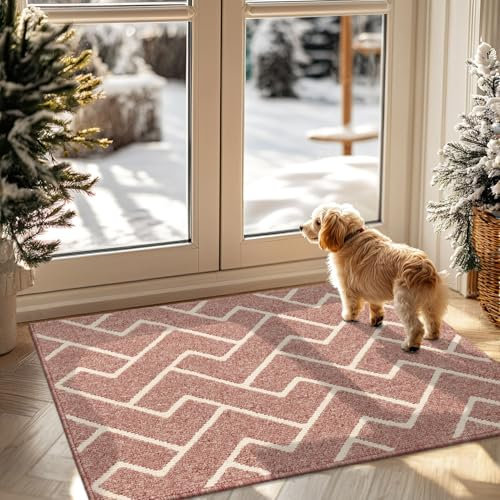 Biscpro Indoor Door Mats,80x100cm Door Mat Non Slip Backing,Dirt Trapper Mat Absorbent Non-Slip Doormat for Entrance,Inside,Kitchen,Front Back Door,Pets and Garden-Dark Pink