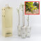 Peuplier Blanc | Grand Arbre | Jeune Pousse de 30 cm Reçue dans une Caisse en Bois Réutilisable | Pack 4 Unités
