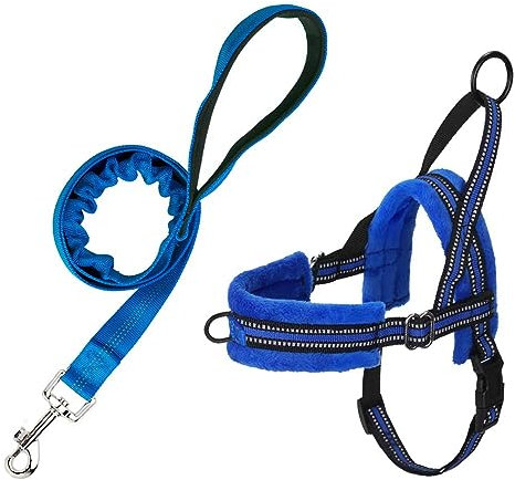 SlowTon Hundegeschirr mit Leine, Anti-Zug Geschirr, Verstellbare Reflektierend Welpengeschirr Brustgeschirr Sicherheitsgeschirr Anti-Erstickung Brustgeschirr für Kleine, Mittelgroße Hunde & Welpen