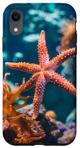 Ozean Koralle Seestern Hülle für iPhone XR