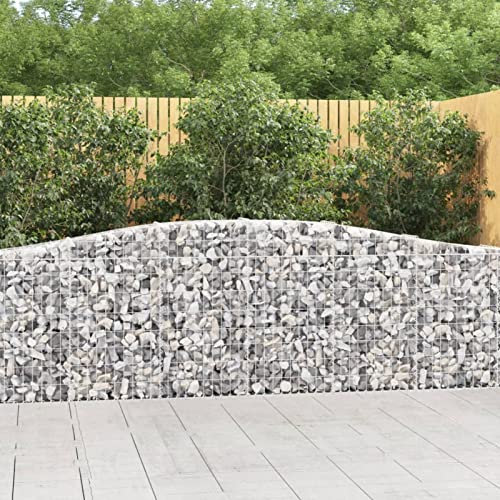 LAPOOH Gabionen mit Hochbogen 25 STK. 400x30x80/100cm Verzinktes Eisen, Gabionen Zaun, Steinkorb Garten, Gabionenkörbe, Gabionen Gitter, Dekorative Zã¤UNE - 3145824