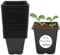 SwiftPick Home Lot de 24 pots de fleurs carrés en plastique avec trous de drainage réutilisables pour légumes, fleurs, herbes aromatiques Noir 9 x 10 cm