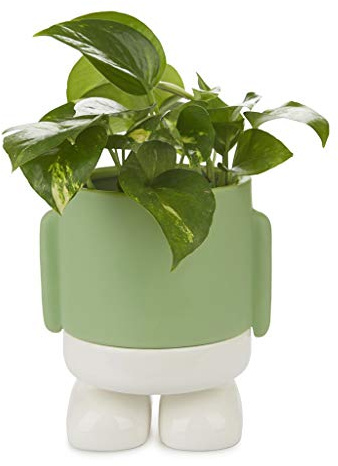 Balvi Pot de Fleur MrStandy Couleur Vert et Blanc Pot en Forme de Personage sympathique avec récipien