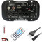 Citywalk Placa Amplificadora Bluetooth de 12V y 24V, Placa Amplificadora de Graves HiFi, Subwoofer FM de 30-120W para Altavoz Subwoofer de 10 Pulgadas (Enchufe Europeo)