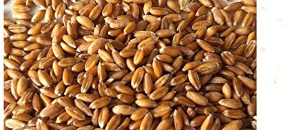 Natur-shop 2 KG Dinkelkerne Dinkelkorn kostenfreie Lieferung in Deutschland