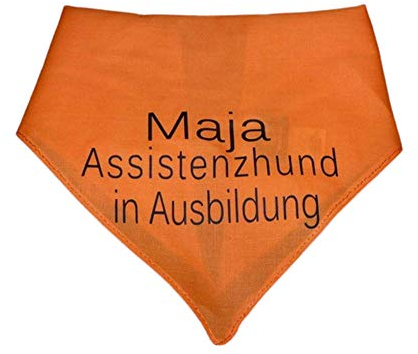 Hundehalstuch Assistenzhund in Ausbildung mit Namen