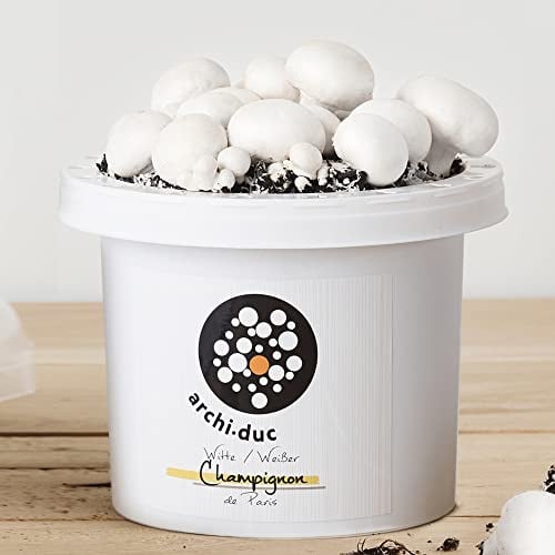 Pilzzuchtset | Züchte deine eigenen weißen Zucht-Champignons | Küchengarten