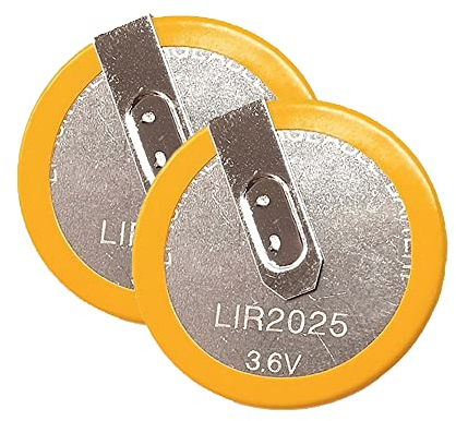 SIMPLETEK - 2 X LIR2025 Batterie Pila BMW E46 E39 X3 X5 E38 Télécommande Clé 3,6V | Compatibilité: LIR2025 VL2020 VL2025
