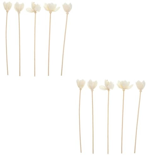 BATHVEVE 2sets Diffusor Blumen Sticks Rattan Parfüm Diffusor Hause Dekorative Düfte 5 Stücke * 2