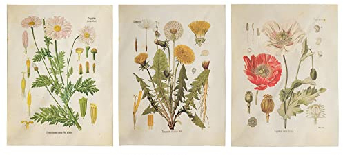 Jrudjsnhhty 3Pcs Flower Tapestry Wall Hanging Wildflower Plant Floral Tapestry Chart Small Tapestry for Bedroom Living Room (A+B+E)