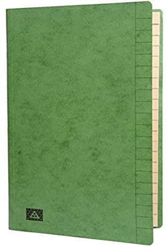 RNKVERLAG 4618-5 - Konferenz- und Ordnungsmappe mit Gummizug, Maße (BxH) 245 x 345 mm, bis DIN A4, 20 Fächer, grün, 1 Stück