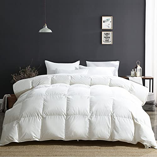 APSMILE Daunendecke 240x260 Winter Extra Warm Bettdecke 100% Baumwolle, Winterdecke mit Premium Gänsedaunen, Flauschige Federbettdecke 380gsm ohne Lebendrupf, Thermische Zertifiziert