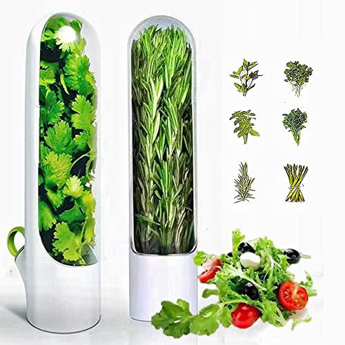 SHENGANG Lot de 2 boîtes de rangement pour herbes aromatiques, coriandre pour réfrigérateur, herbes aromatiques, menthe, asperges