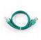 iggual igg311042 0,25 m CAT6 U/UTP (UTP) grün Netzwerk-Kabel – Netzwerk-Kabel (RJ-45, RJ-45, männlich/männlich, Gold, CAT6, U/UTP (UTP))