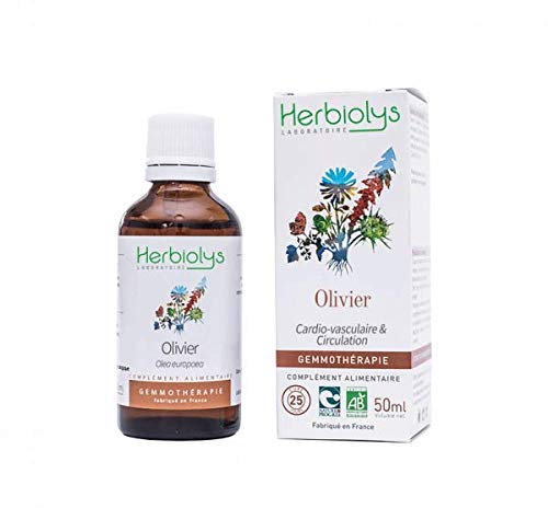 Olivier bio bourgeons - 50 ml