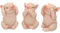 Nemesis Now Figur DREI weise Schweine, 11 cm, Rosa