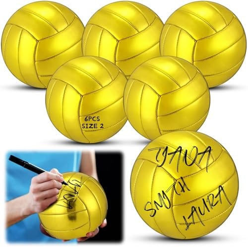 WinnerWhy Volleyball mit goldenem Autogramm, offizielle Größe 2, Mini-Trophäe, Volleyball, goldener Volleyball mit Luftpumpe, für Trophäen, Jahrestag, Schule, Uni, Coaching, Geschenk, Auszeichnungen,