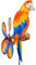HQ Design Windspiration - Spin Critter, UV-beständige und wetterfeste Windspiel Deko für Garten, Terrasse und Balkon - Windrad inkl. Standstab (Parrot)