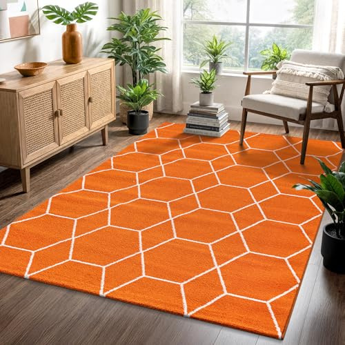 SANAT Wohnzimmerteppich – Pflegeleicht, für jeden Raum geeignet – Öko-Tex zertifizierter Flächenteppich – Trellis Muster, Orange, 240 x 340 cm