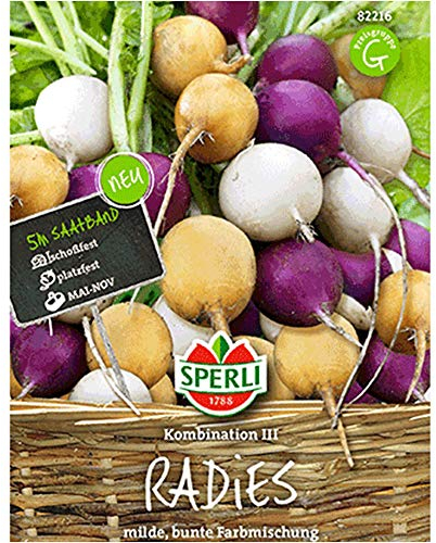 Radieschen 'Bunte Farbmischung' Saatband, 5 Meter