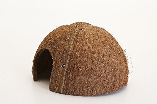Kokoshöhle Laichhöhle Terrarium Aquarium - 1/2 Kokosnuss